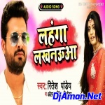 Hamar Papa Pataihe Tora Mai Ke (Bhojpuri Mix 2019) Dj Nitish Babu Gopalganj